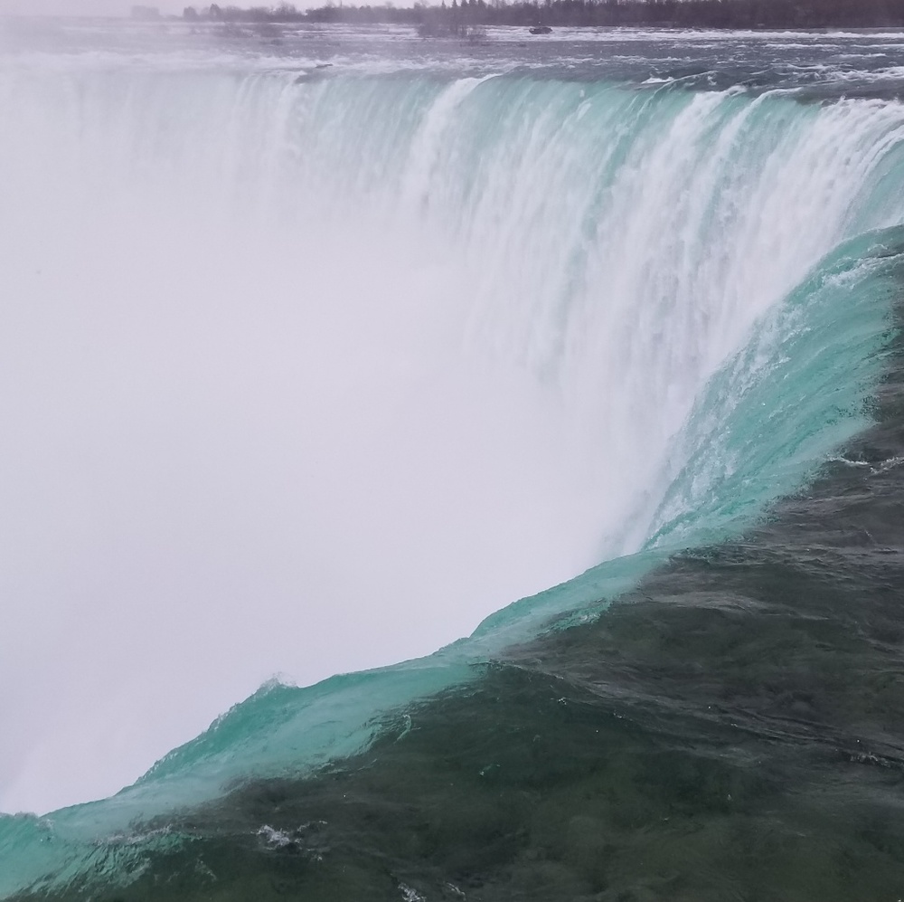 Meet your Posher, Felicia